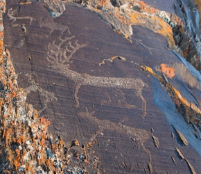 These Petrolyths littered the hill side. Carved 11000-6000BC, they represented the animals that the hunters had seen in days gone by