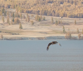 A kite flies over Lake Khoton