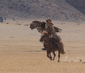 The aim was for the eagle to fly from a pinnacle above to land in the glove of a participant, maybe 300 metres away. many eagles flew sideways away from the field as their handler called out. It was with pride that they galloped back to the spectator