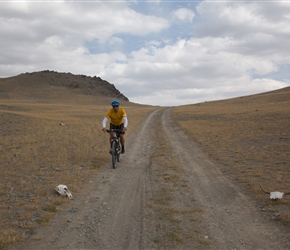 Peter passes the Ox and Horse skull