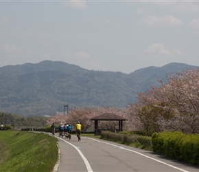 Along the cyclepath