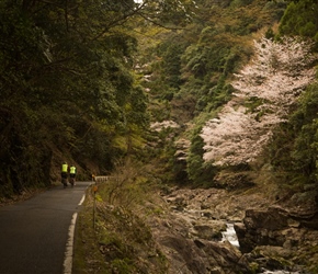 Following the Hye River