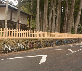 Our bikes were beautifully looked after. Here Issy has lined them up all ready