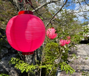 Having finished our morning coffee, we explored Yakouji Temple.