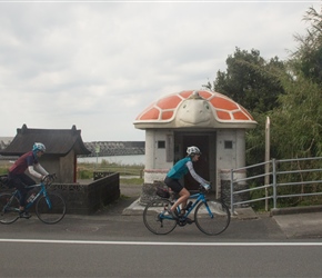 Sea Turtle bus shelter