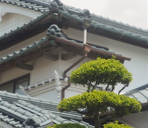 Sculptured trees and typical rooves