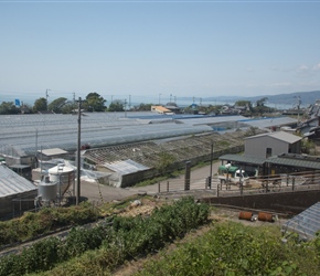 The Japanese can farm in a limited coastal strip, so every hectare counts. So there were a lot of greenhouses about