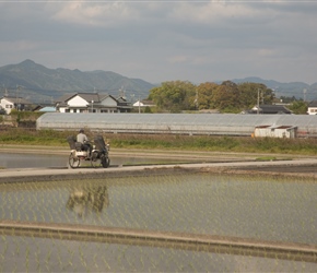 Rice planter