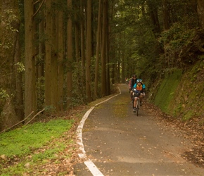 This was the quiet lane along the edge (to the left) of the Shimanto River