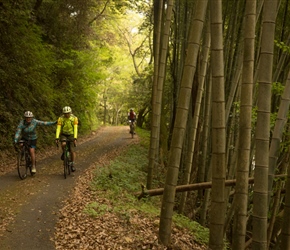 Jack and Christine pass the bamboo