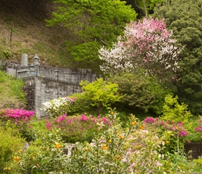 Shrine, flowers and blossom