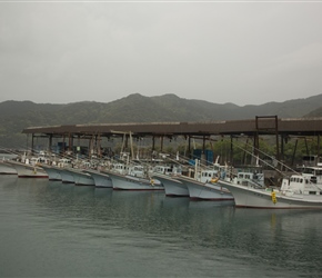 Fishing boats 