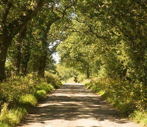 Through the lanes towards Hatherleigh