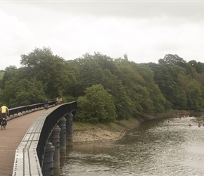 Over the River Torridge