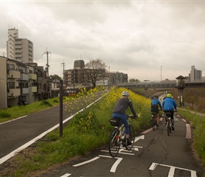 Heading back towards the Katsura River