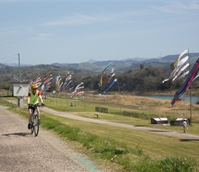 Fish flags lining the Yoshina River. You had to get onto the riverside path to fully appreciate these as Christine did