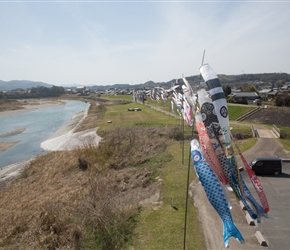 Fish flags lining the Yoshina River. 