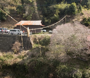 Taking the side road through Inabuchi, created an einteresting site. 3 km apart strung across the river were Shinto fertility symbols complete with an orange in the centre. Here's the male one at the bottom