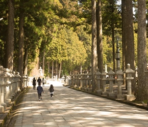 Entrance walkway to the cemetery