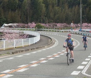 Having stopped for a picnic lunch at the Toryanse Workshop we passed more blossom