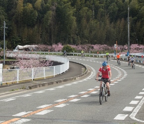 Jim pedals past blossom