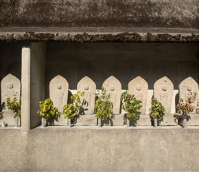 This little shrine was tucked in the wall as I cycled past close to Hiwasa