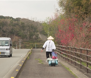 Many pilgrims were waling the temple trail. Most carried small bags, this chap chose wheels