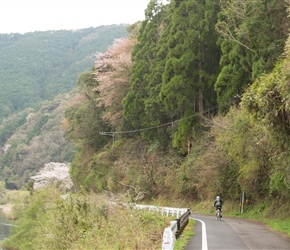 Anne heads along the Shamanto River