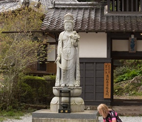 Findng a cat at Seiryuji Temple