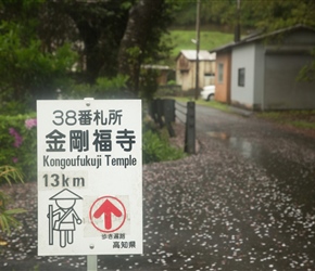 Road to Kongoufukuji Temple as we were sharing this road with the pilgrim walkers