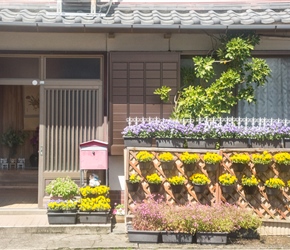 I took the side road parallel to the main road in Asahimachi (which also had less traffic lights) A Japanese front garden with a welcoming group of statues