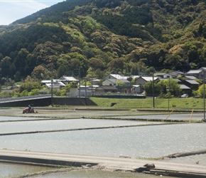 The route inland to Sukumo was a bradual uphill climb following the river valley. All about us were rice paddy fields