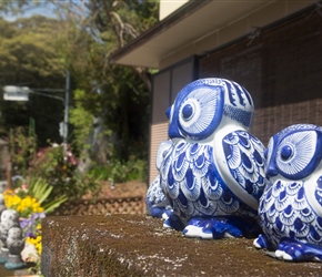 Owl wall decorations at Fukura