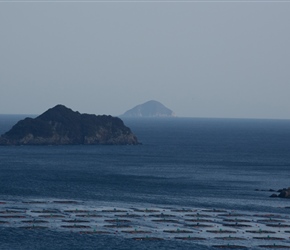 The inlets were littered with factory farmed fishing nets