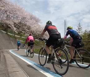 Approaching Tatara Bridge