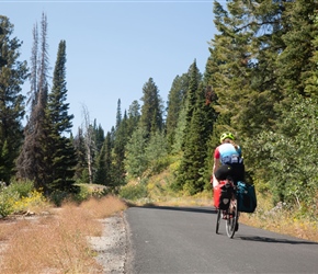 Josie on the Teton Pass