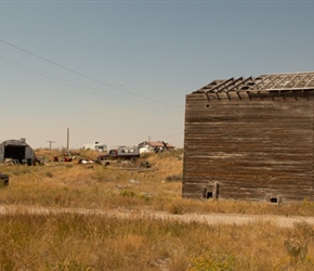 Sheltering by a barn