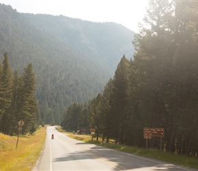 Steve heads towards Earthquake Lake surrounded by trees