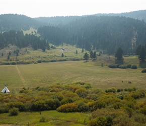 View fom Brackett Creek Road