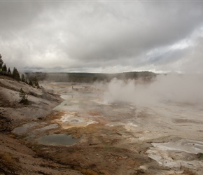 Norris Geyser Basin