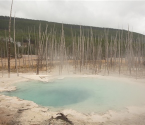 Norris Geyser Basin