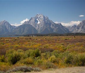 The Tetons from Willow Flats