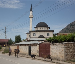 Shengjergj Mosque