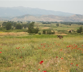 View west near Belorta