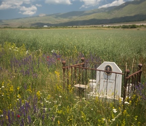 Albania is littered with memorial plaques, quite a nice place to spend eternity