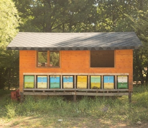 Beehives at Farma Sotira