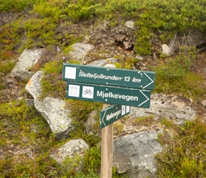 Following Mjolkevegan