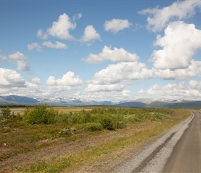 Following Mjolkevegan