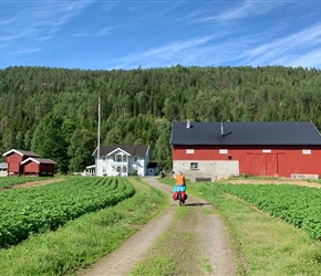 Neil heads for the farm along the cycle track