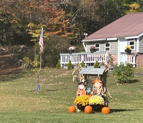 Autumn decorations